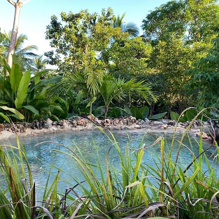 Aventura Rincon Ecolodge Las Galeras Extérieur photo
