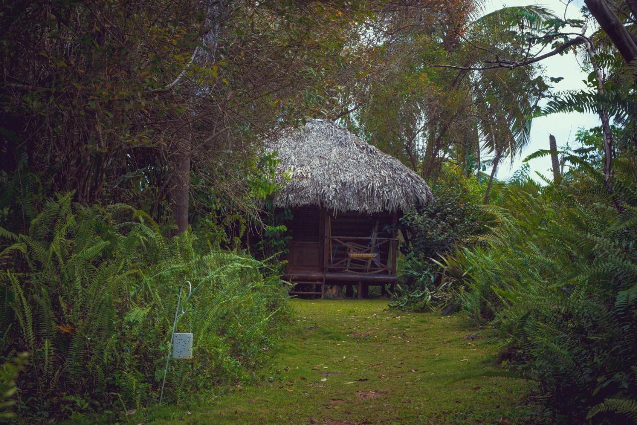 Aventura Rincon Ecolodge Las Galeras Extérieur photo