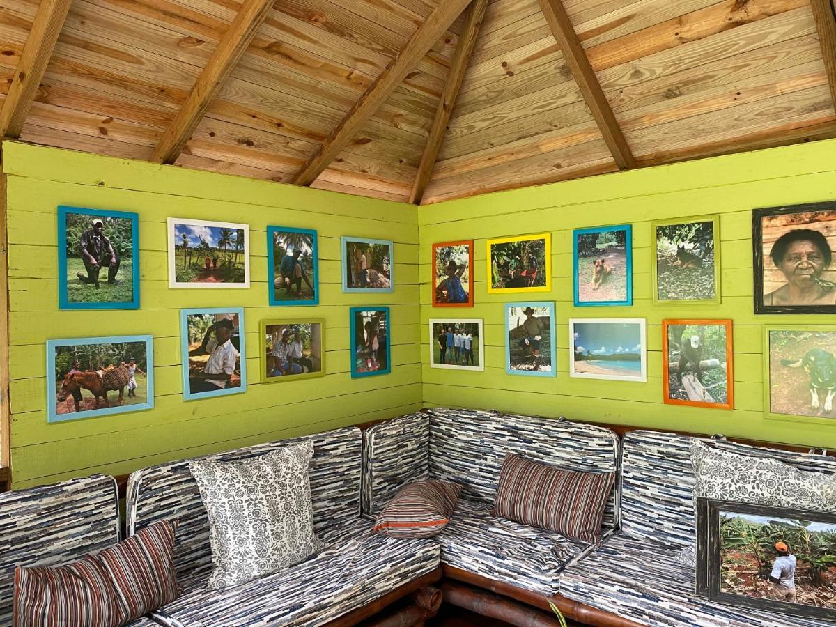 Aventura Rincon Ecolodge Las Galeras Extérieur photo