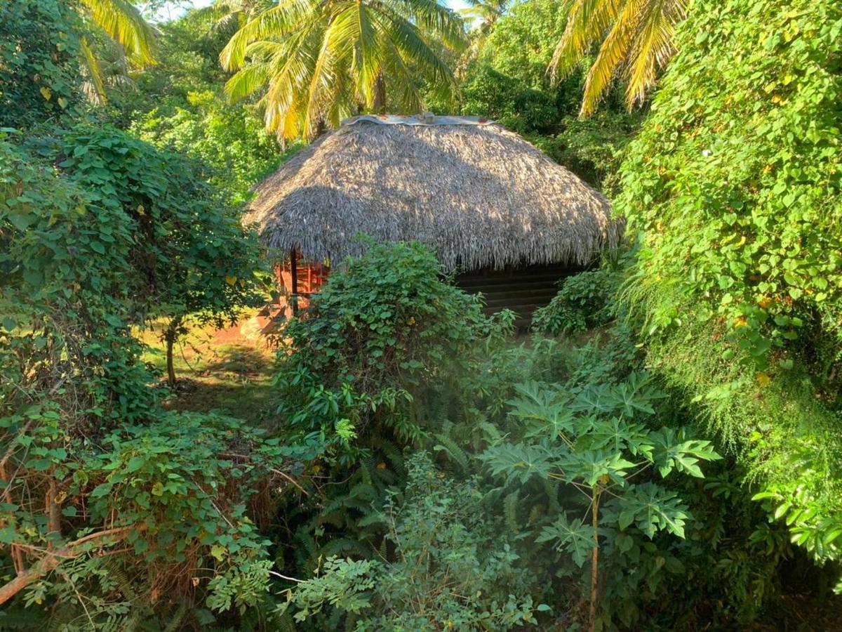Aventura Rincon Ecolodge Las Galeras Extérieur photo