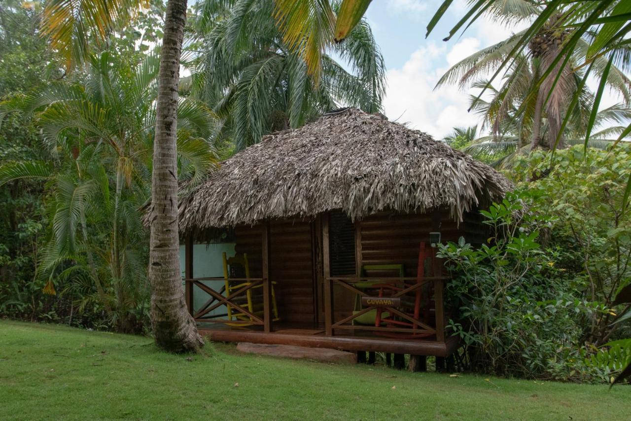 Aventura Rincon Ecolodge Las Galeras Extérieur photo