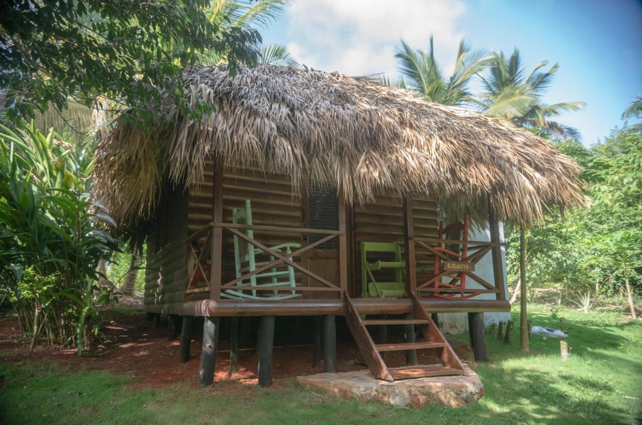 Aventura Rincon Ecolodge Las Galeras Extérieur photo