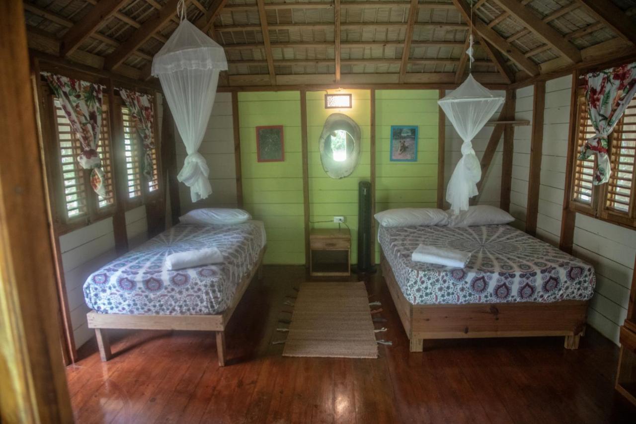 Aventura Rincon Ecolodge Las Galeras Extérieur photo