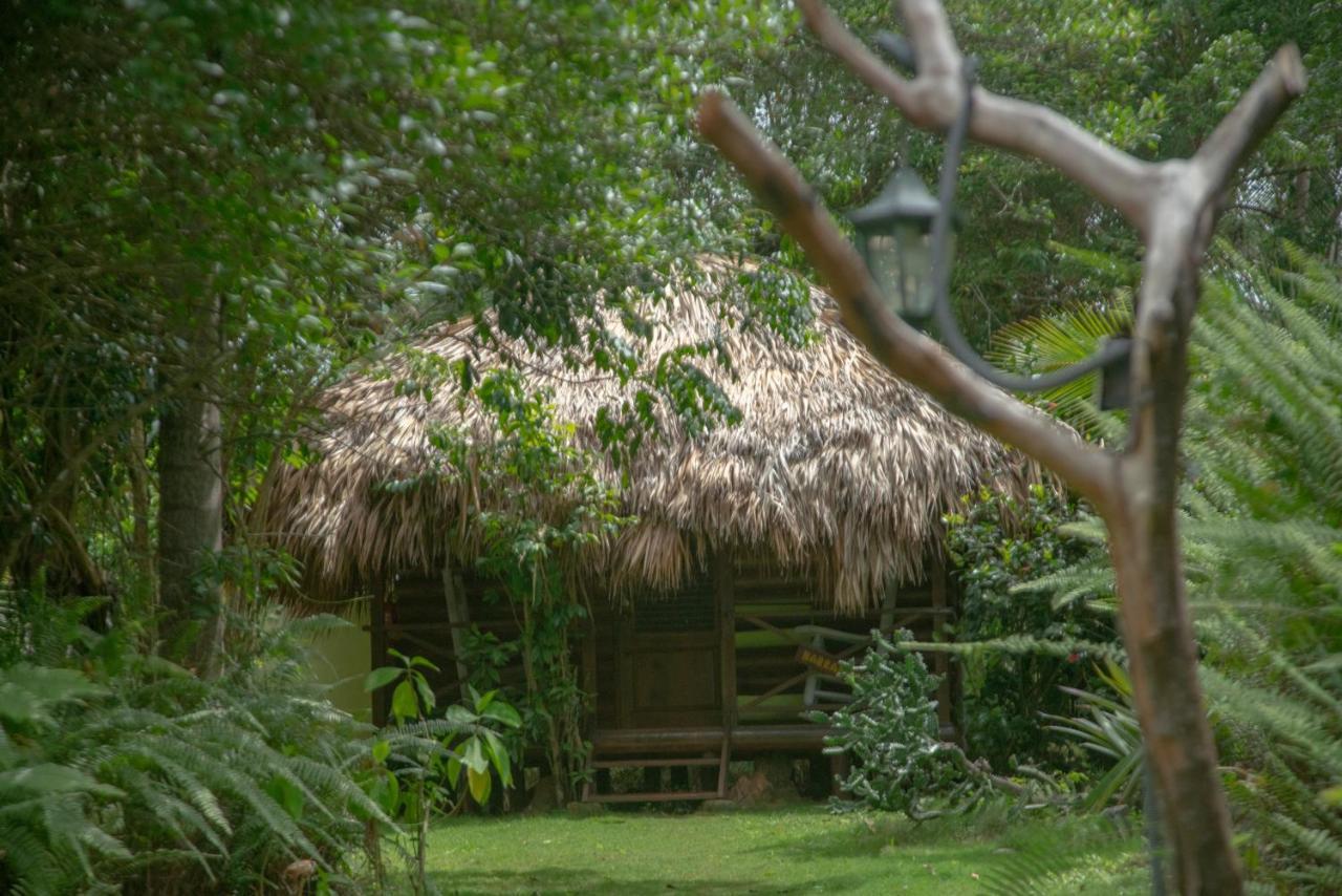 Aventura Rincon Ecolodge Las Galeras Extérieur photo