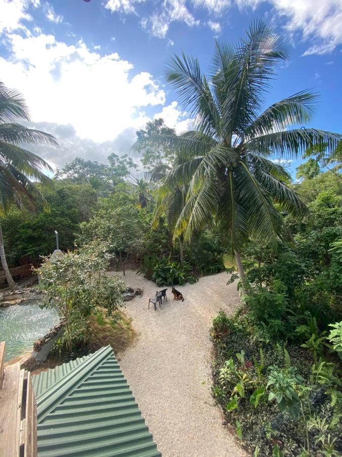 Aventura Rincon Ecolodge Las Galeras Extérieur photo