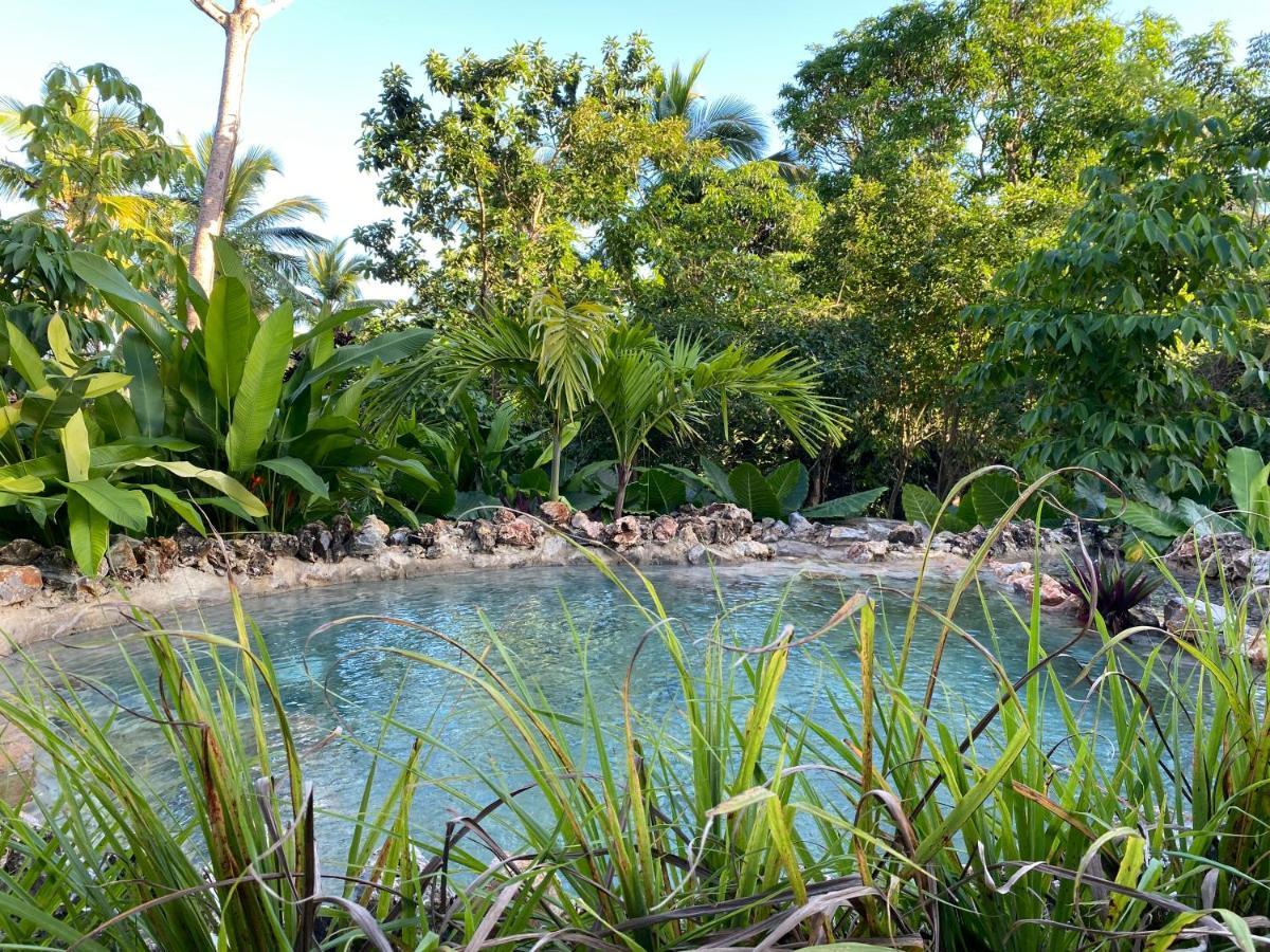 Aventura Rincon Ecolodge Las Galeras Extérieur photo
