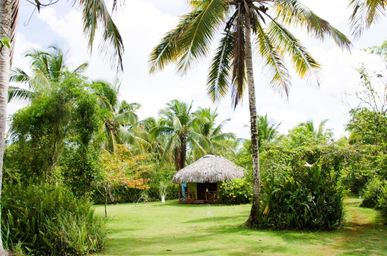 Aventura Rincon Ecolodge Las Galeras Extérieur photo